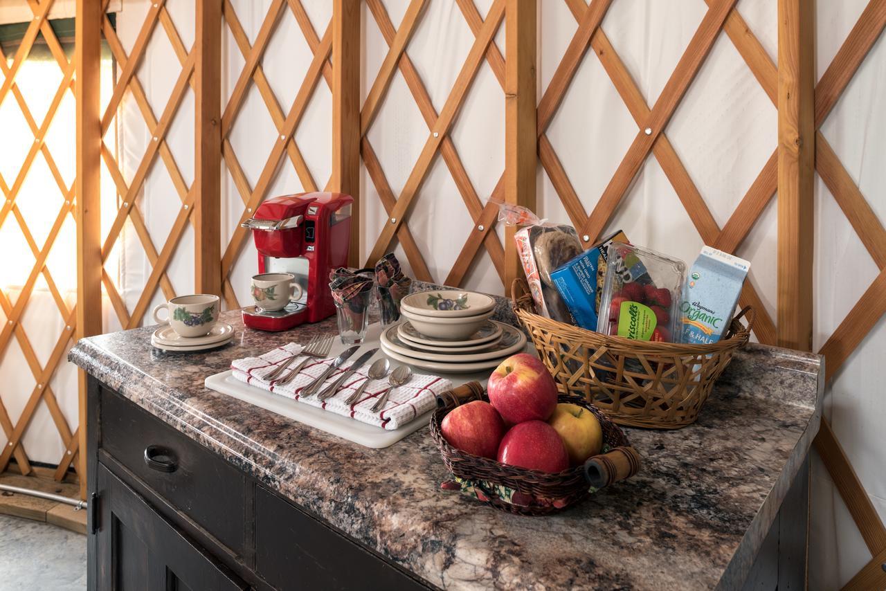 Yale Manor B&B & Yurt Glamping Buitenkant foto