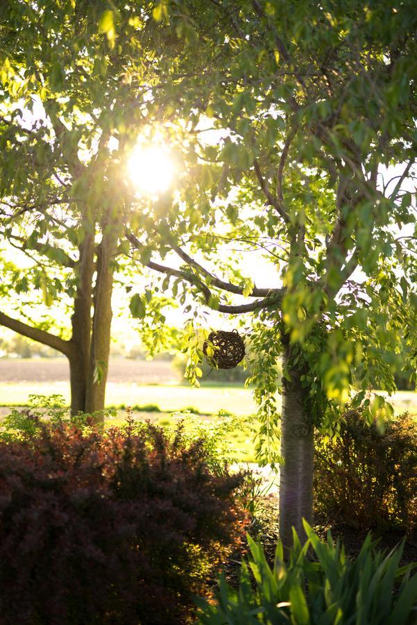 Yale Manor B&B & Yurt Glamping Buitenkant foto